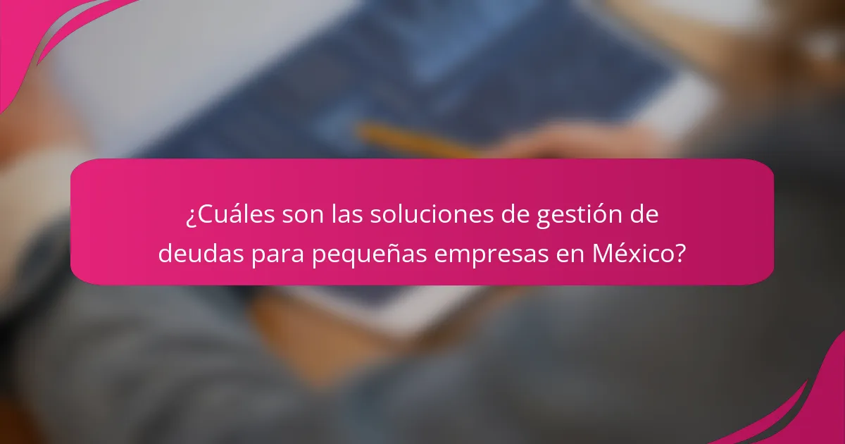 ¿Cuáles son las soluciones de gestión de deudas para pequeñas empresas en México?